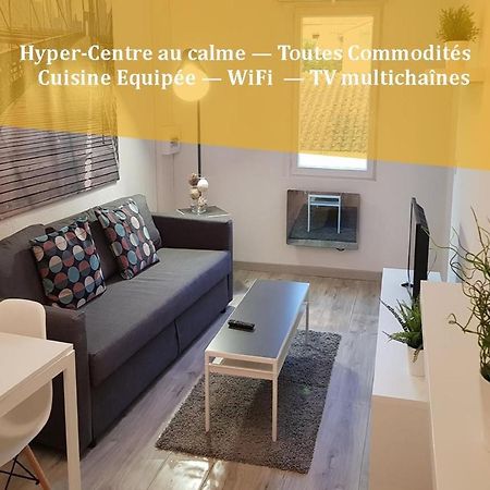 Appartement "Gabrielle" Au Calme En Hypercentre De Revel เรอแวล ภายนอก รูปภาพ